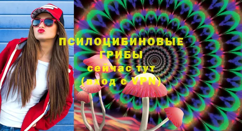 Псилоцибиновые грибы Magic Shrooms  где купить   Агрыз 